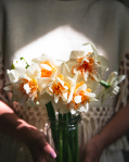 Narcisky