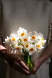 Narcisky
