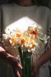 Narcisky
