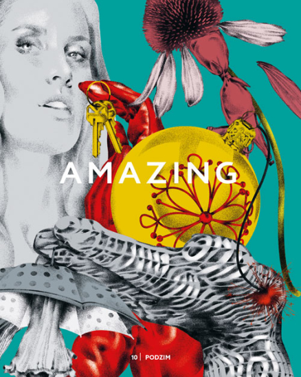 Amazing Magazin
