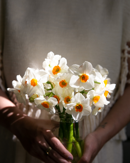 Narcisky