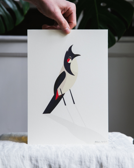 Grafika - bulbul - A4